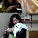 서울옷방 이미지