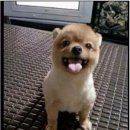 예