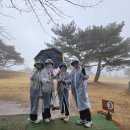 거제시 여행사 추천: 통쿱버스로 떠나는 경주 OK파크골프장 여행 후기