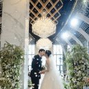 비마인스튜디오 | 본식 스냅 - 비마인 스냅 계약 후기(짝꿍 할인 가능)