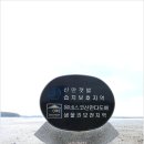 죽도(대섬) Daum카페
