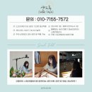 신길초앞 | [샌드아트] 경기도 안산 신길초병설유치원 성교육 샌드아트 공연