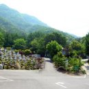 강산장묘 - 중구 도화골4길 2 | 강산장묘