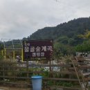 가평물골숲계곡캠핑장 이미지