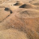 공룡의숨결 이미지