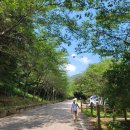 V랜드 물놀이장 | 전남 무료 물놀이장 입장료+평상+온수샤워 무료 강진V랜드