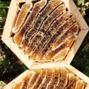 김광석농장 이미지