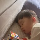다이소장림점 이미지