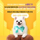 소울도기 이미지