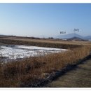 원산청둥오리 - 영도구 절영로 10-3 | 원산청둥오리