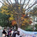 일성어린이집 이미지