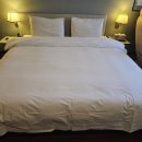 브라운도트 호텔 신호점 이미지