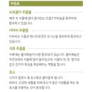 에스테라 이미지