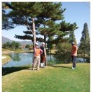 옥스치과의원 이미지