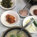 캇제그라피스튜디오