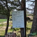 버디클럽 | 강릉 운산동 파3 골프장 왕초보도 즐길 수있는 클럽버디 후기