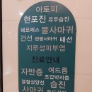 기계한의원 | 강남 편평사마귀 한의원 내돈내산 후기1(듀오덤X)