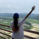 선일축산 이미지