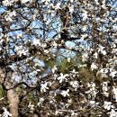 씨유 사상중흥센터 | 봉은사-천년의 역사가 숨 쉬는 도심 속 사찰