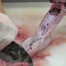 수정갈비 이미지