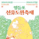 선유 이미지