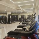 새로고침 PT 이미지