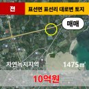 표선리-15 이미지