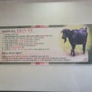 대장금흑염소