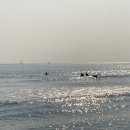 서신제일카센타 | 221231-230101 내가 가장 사랑하고 나를 제일 사랑하는 사람들과의 부산여행