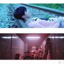 루나의 꿈 이미지