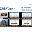 delight이화약국 이미지