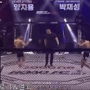 로드FC 양지용 8초컷 러쉬 gif 이미지