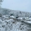 참살이 가족 캠핑장 이미지