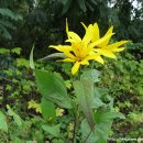 어둔목장 이미지