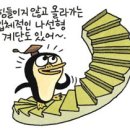 은하생활 Daum카페