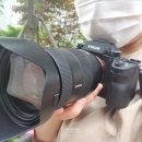 구갈공원_R | 소니 A9 금계륵 FE24-70GM 구매후기 아기사진찍기 좋아요