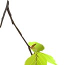 효령로 65 이미지