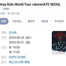[콘서트]2024.08.25 Stray Kids World Tour dominATE 콘서트 후기