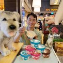 더 아이스크림 이미지