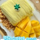 비주얼리스트 이미지