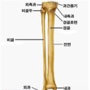 대한민국행정사 이미지