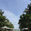 항구도시 이미지