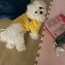 리치저니 이미지