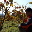 방장산 농장 이미지