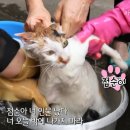 소취