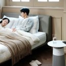 내츄럴퍼니쳐