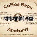 커피체리 - 세종특별자치시 운주산로 1185 | 커피체리