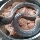 연변순대 이미지