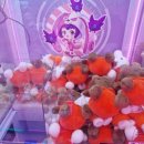 모모스테이션 이미지