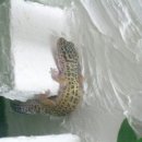 일로-5호 이미지